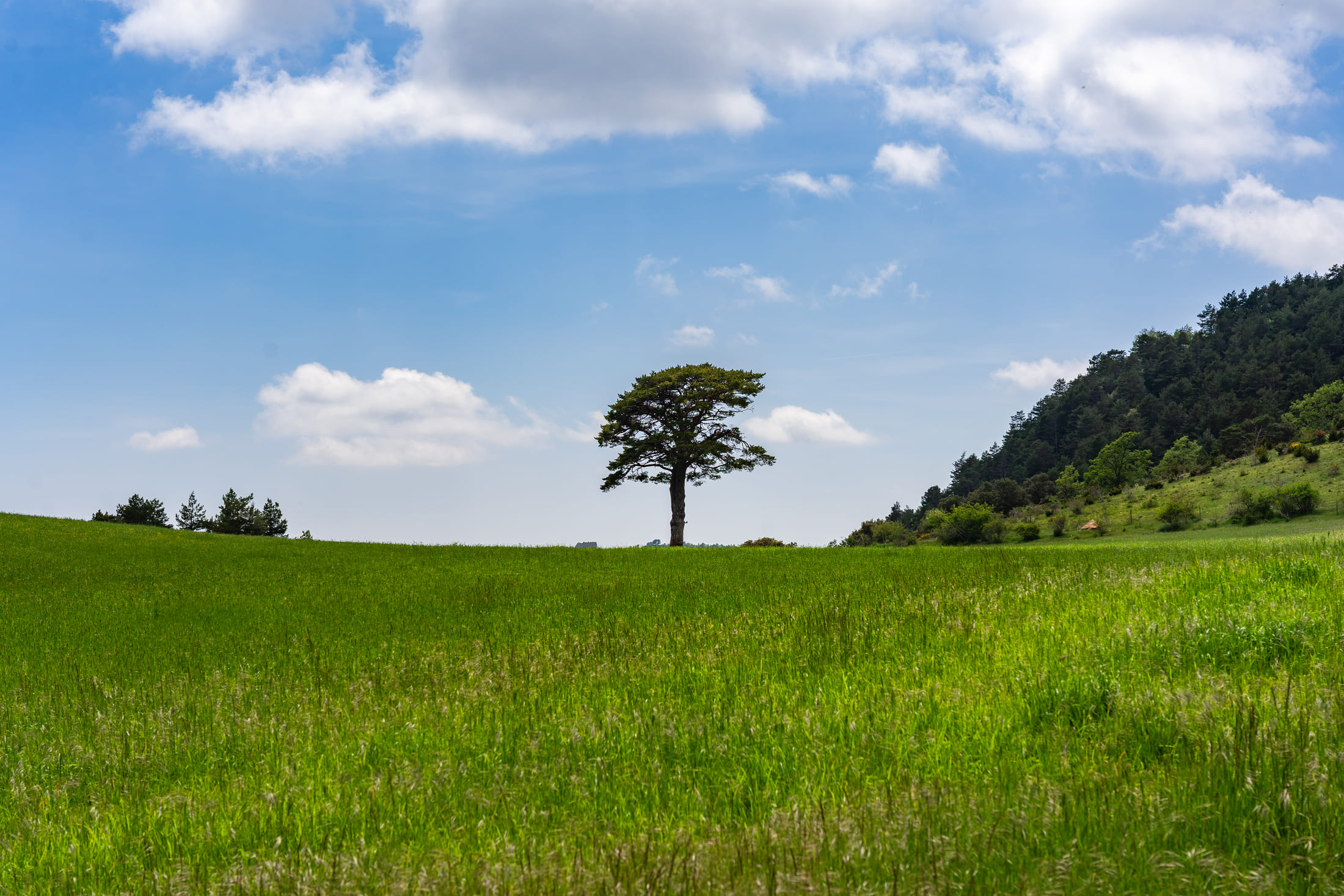 Comprometidos con la naturaleza